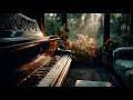 Classical Piano in Sunlit Room 🌅 Relaxing Music - Mozart, Beethoven, Chopin, Bach, Tchaikovsky