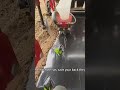 So Satisfying! Even OCD viewers will love this perfectly aligned planting.