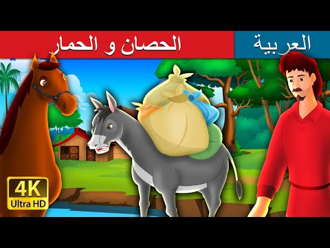 فيديو: حمار بينالي