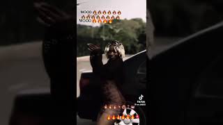 Fire Boom Logi Miles To The World Official Audio Out