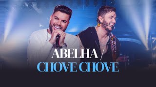 Abelha e Chove Chove - Max e Luan #DVDHíbrido