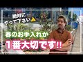 絶対にやって下さい!オージープランツのお手入れ‼︎【オージープランツ】
