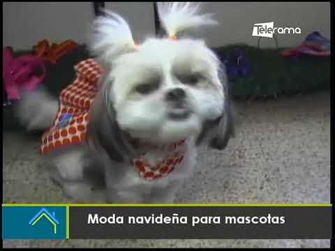 Moda navideña para mascotas