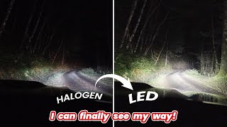 Should you change halogens to LEDs? Watch this before you buy them!