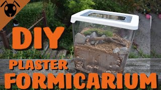 How To Make A Plaster Formicarium Tutorial