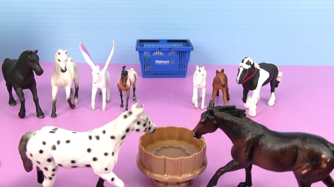 Horses eat food and drink water feeding YouTube