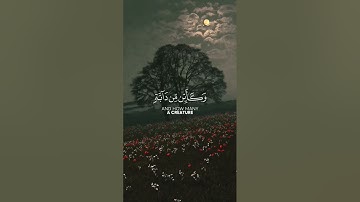تلاوه هادئة 🎧💚 بصوت القارئ عبدالرحمن مسعد #تلاوة_خاشعة #القرآن_الكريم #قرآن #تلاوات #عبدالرحمن_مسعد