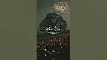تلاوه هادئة 🎧💚 بصوت القارئ عبدالرحمن مسعد #تلاوة_خاشعة #القرآن_الكريم #قرآن #تلاوات #عبدالرحمن_مسعد