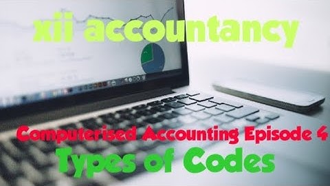 XII Accountancy  Computerised Accounting Types of Codes Episode 4