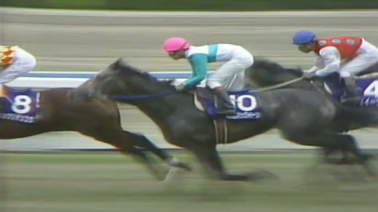 1991年　宝塚記念　メジロライアン