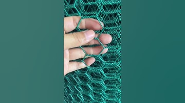 PVC coated Hexagonal Wire Mesh Chicken Wire