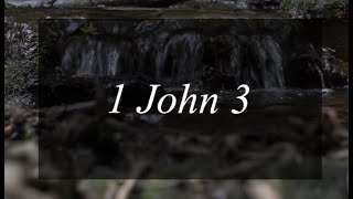 A reading of 1 John 3 from the New Living Translation