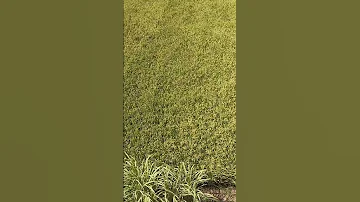 Explore Shortvideo Trending Reels اكسبلور يصلك اللهم صل وسلم على نبينا محمد تصويري يارب 
