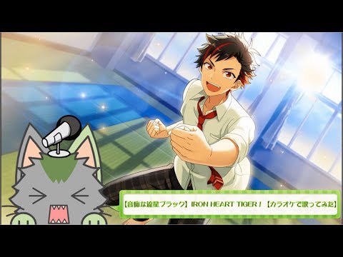 【音痴な流星ブラック】IRON HEART TIGER！【カラオケで歌ってみた】