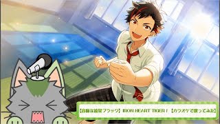 【音痴な流星ブラック】IRON HEART TIGER！【カラオケで歌ってみた】