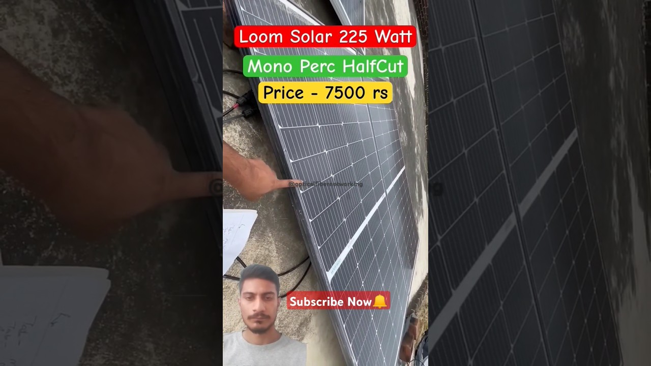 Loom Solar 225 Watt Mono Perc Half cut Solar Panel