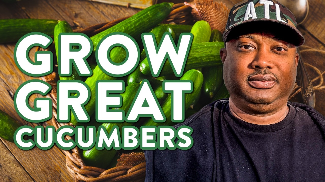 How to Grow Cucumbers | Tips for Beginner Gardeners