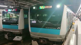 【JR京浜東北線・根岸線E233系1000番台ツーショット】発車待ち！