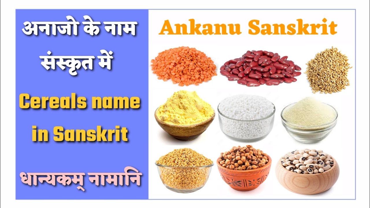 अनाजों के नाम संस्कृत में। Cereals name in Sanskrit. YouTube