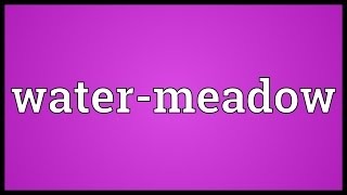 Water-meadow Meaning