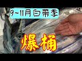 【船釣】釣魚職人手法及觀念實戰-狙擊大物的白帶魚季節-BD名哥