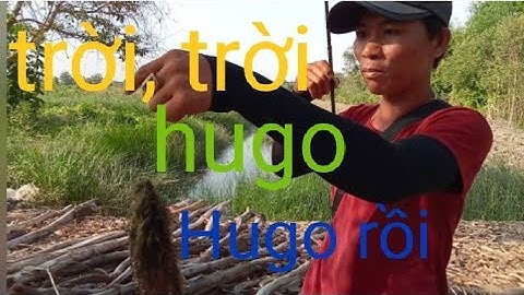 giao lưu cùng cần thủ Khiêm trần fishing, tại Tân Phước, tiền Giang.và cái kết...