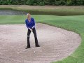 Tips Plus: Hank Haney (June 2010)