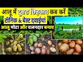आलू में दूसरा स्प्रे कब और कौनसा करे🥔आलू में झुलसा की दवाई🌱aalu me konsi dwai Dale | aalu fungicide