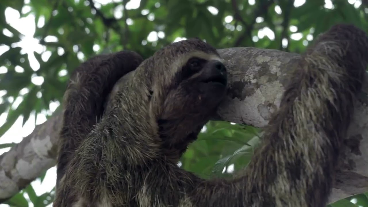 Discover Peru & Chile with Journey Latin America