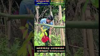 🌲एक पौधा लगाओ, दूनिया बचाओ । Tree PlantationMotivation by Iqbal sir पौधा कैसे लगाएं 🌲|