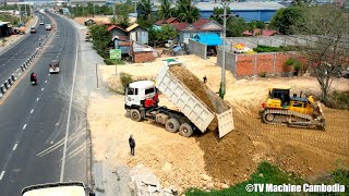 The Best Opening New Project Techniques Skills Shantui Dozer Forest Clearing & Truck Unloading Soil