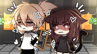 - ,, Paro ,, - Meme ,, Trend ,, -