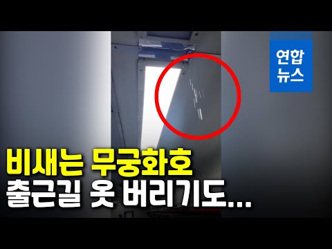 출근길인데…비 새는 부산발 서울행 <strong>무궁화호</strong> 열차 / 연합뉴스 (Yonhapnews)