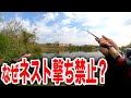 バス釣りのネスト撃ち禁止の風潮はキモい