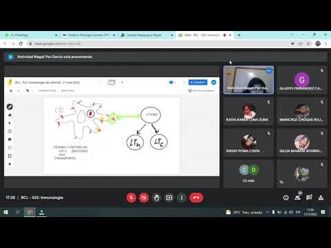 inmunología 21/03/22 parte 1 órganos linfoide primarios