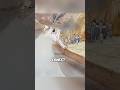 A Condemned Mouse Saved The Bear Judge From A Fire 😂Part 10❤️#funny #shorts #movie #short #anime