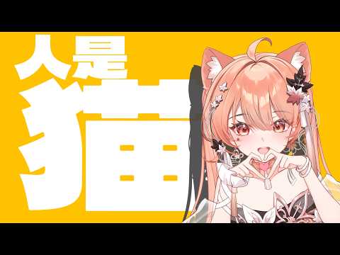 【Akie秋絵】人は猫 Human is Cat【歌ってみた】
