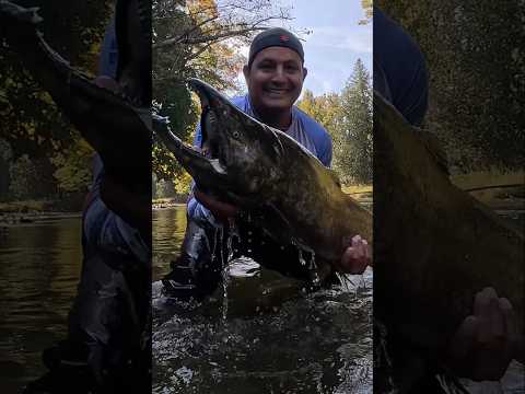 🎣🔥 ¿QUIERES VENIR A PESCAR SALMÓN 🎣  Del 15 al 19 de septiembre de 2026 🔥 QUEDAN SOLO 3 LUGARES