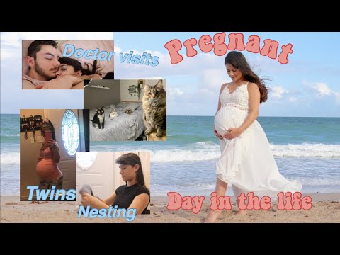 day-in-the-life-*pregnant-edition*-|-twin-mama