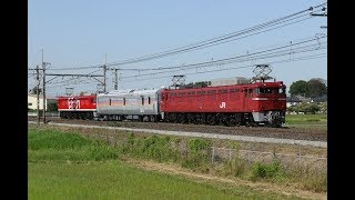 【黒磯訓練】  EF81-139+カヤ27-501+EF81-95 蓮田～東大宮通過