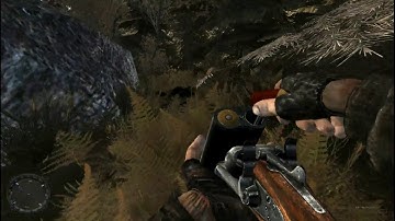 S T A L K E R    Secret Trails 2 + Autumn Aurora 2 #INICIO