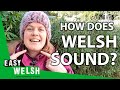 Is the Welsh Alphabet Hard? | Super Easy Welsh 2