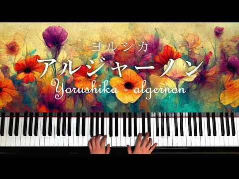 アルジャーノン - ヨルシカ (Piano Cover) Algernon - Yorushika