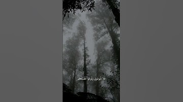 الشيخ أنس بن عيسى العمادي -سورة إبراهيم- هذا التسجيل بتاريخ 15/9/1445🤍#أنس_العمادي#قرآن_كريم#إبراهيم