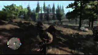 Why i hate bears...
