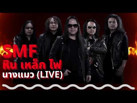 หิน เหล็ก ไฟ (SMF) Live -  นางแมว