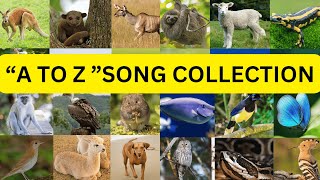 ABC Animals Alphabet Adventure: Fun Song A to Z with 10 Animals for Kids