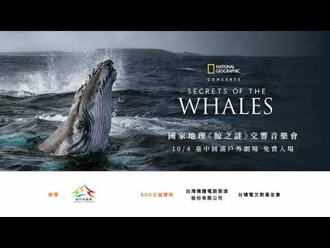國家地理《鯨之謎》交響音樂會 104 臺中圓滿戶外劇場 #免費入場 現場交響樂 × 壯麗影像，帶你看見鯨魚的智慧與文化，快樂與悲傷????????