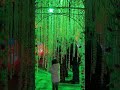 Lighting attraction shows #calmdown #musica #love #2024 #amor #christmasdecor