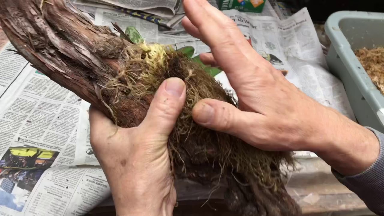 Very Detailed Mounting Video